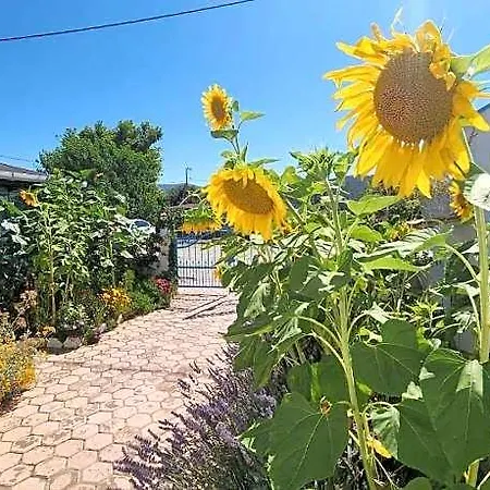 Ornek Hotel Derekoy (Gokceada)
