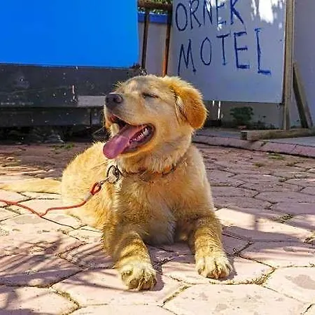 Hotel Ornek